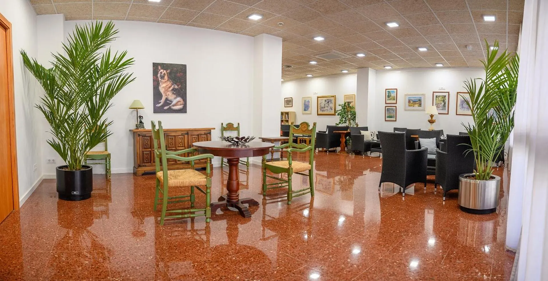 Apartaments Albatros Family Salou Apartment